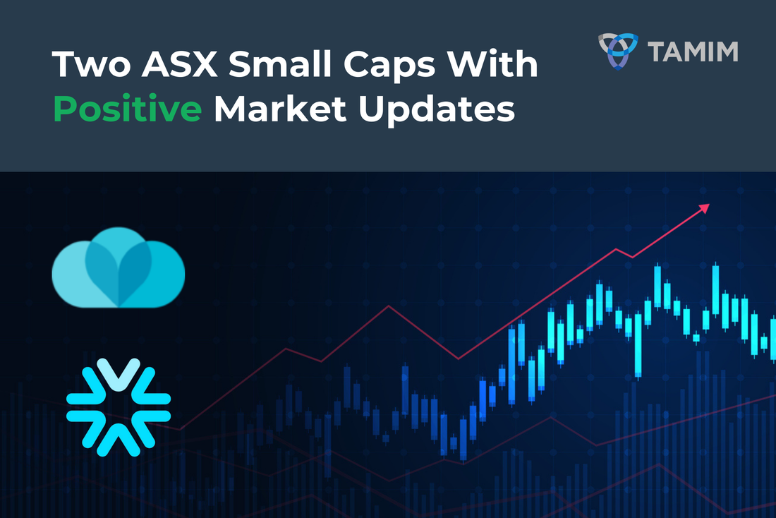 Two ASX Small Caps With Positive Market Updates