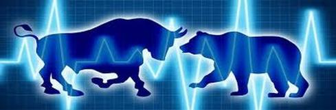 Bull vs Bear graphic