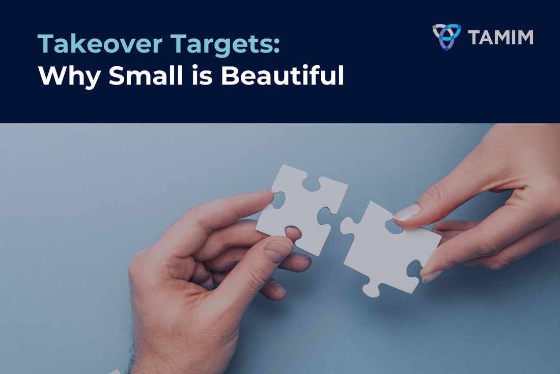 Takeover Targets: Why Small is Beautiful